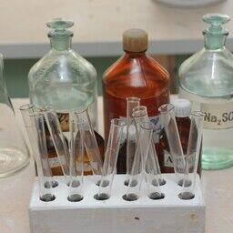 Открыт новый род и вид бактерий, разлагающих водоросли. Архивное фото