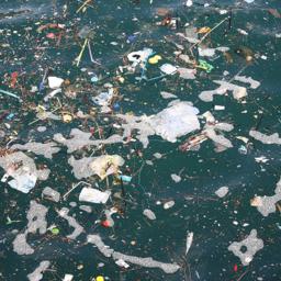 Морской мусор – одна из важнейших проблем современности. Фото с сайта Pixabay