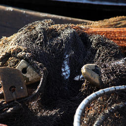 Озера Омской области предлагают под промысел. Архивное фото