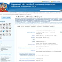 Документация аукциона опубликована на сайте torgi.gov.ru