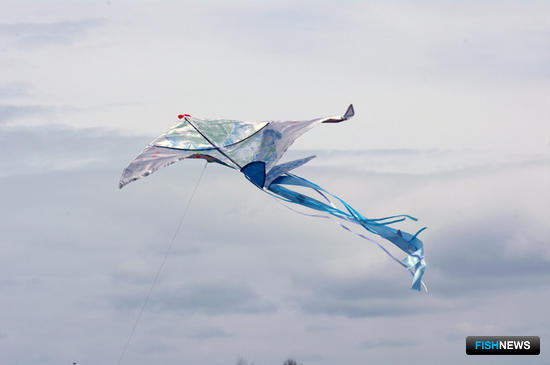 В городе Зея Амурской области прошел фестиваль коинобори и воздушных змеев. Фото пресс-службы регионального правительства