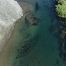 Ученые провели авиамониторинг нерестилищ тихоокеанских лососей на Чукотке. Фото пресс-службы ТИНРО