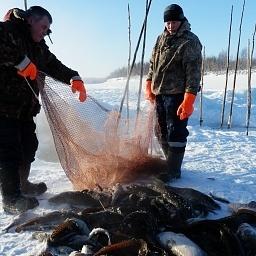 Лов рыбы на Ямале. Фото пресс-службы Минсельхоза РФ