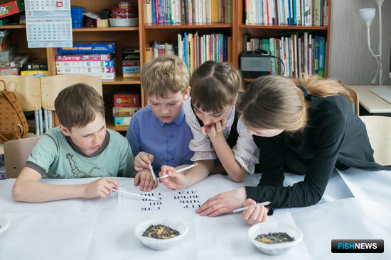 Фонд «Родные острова» запустил цикл занятий с детьми и подростками «Покорми птиц зимой». Фото пресс-службы фонда