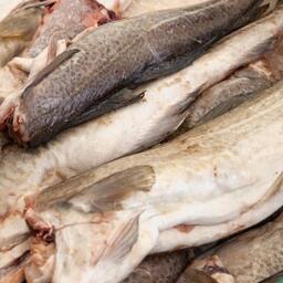 Поправки должны помочь добытчикам и переработчикам трески