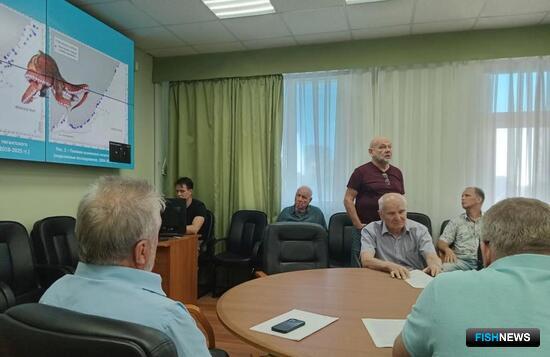 Рыбаки получили прибавку по осьминогам в подзоне Приморье
