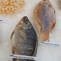 Произведенная в Китае рыбопродукция