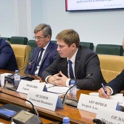 В Совете Федерации обсудили предложения ФАС по изменению принципов распределения квот. Фото пресс-службы верхней палаты парламента