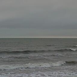 Претендентов не оказалось в том числе на две доли квоты трески в Балтийском море