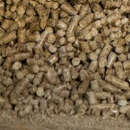 В Калининградской области будут производить корма для ценных видов рыб