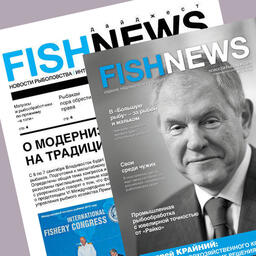 Август 2010 года — ребрендинг: СМИ медиахолдинга теперь с новым дизайном