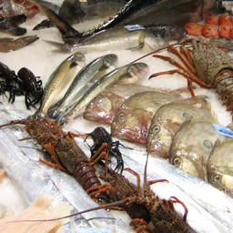 Помимо технического регламента ЕАЭС «О безопасности рыбы и рыбной продукции» производители также должны руководствоваться требованиями горизонтальных техрегламентов