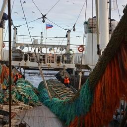 Добыча сельди в Беринговом море. Фото пресс-службы «Океанрыбфлота»