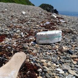 Пластиковый мусор на побережье Приморского края