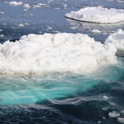 Площадь морского льда в Антарктике в феврале достигла исторического минимума