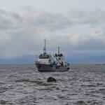 В 2019 г. норму освоения квот на вылов подняли до 70%. Архивное фото