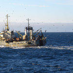 О состоянии российского рыбопромыслового флота и промыслового судостроения