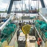 На причалах и других объектах морского терминала Архангельского тралового флота работа кипит круглосуточно