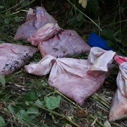 Брошенные браконьерами мешки с добычей. Фото пресс-службы СВТУ