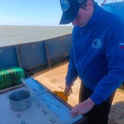 В Азовском море завершилась учетная съемка молоди хамсы и тюльки. Фото пресс-службы ВНИРО