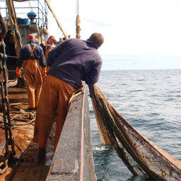 Рыбаки задолжали государству 5 миллиардов