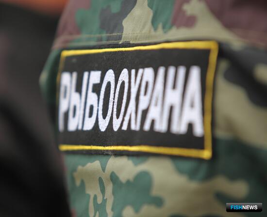 Список тревожных признаков для рыбоохраны планируется дополнить