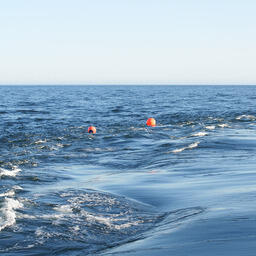 Участники экспедиции выполнили 48 учетных станций. Фото пресс-службы ВНИРО