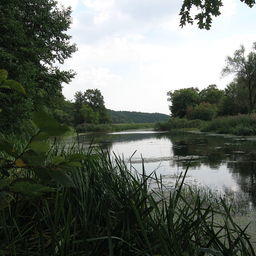 Река Ворскла в Белгородской области. Фото Байбак («Википедия»). Файл доступен по лицензии Creative Commons Attribution-Share Alike 3.0 Unported