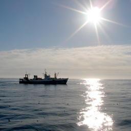 Правительство установит требования к промыслу в открытом море
