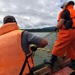 Добыча лосося в Сахалинской области