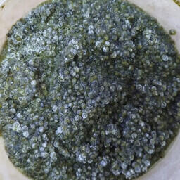 У пассажирки изъяли 338 г икры калуги. Фото пресс-службы Дальневосточного таможенного управления