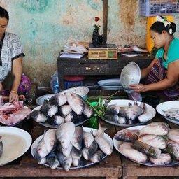 Рыбное хозяйство Мьянмы пострадало от пандемии коронавируса. Фото Banita tour (Pixabay)