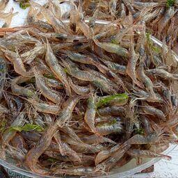 По словам ученых, вылов ракообразных увеличился в 200 раз. Фото пресс-службы ВНИРО