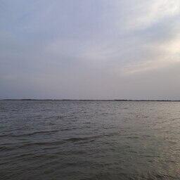 На Амуре ловят горбушу и кету. Архивное фото