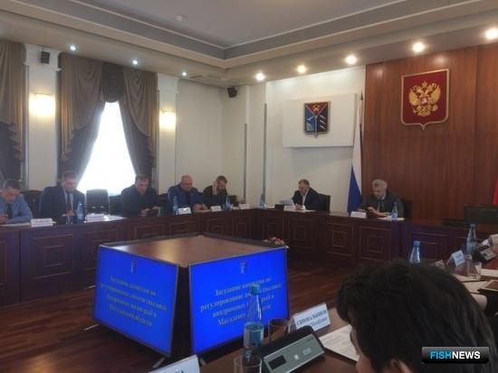 Заседание комиссии по регулированию добычи анадромных видов рыб в Магаданской области. Фото пресс-службы областного правительства
