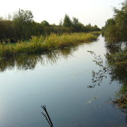 В Приморском крае изменилось требование к желающим получить квоты вылова в реках и озерах