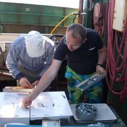 Сотрудники Азовского НИИ рыбного хозяйства и крымского ЮгНИРО провели учетно-траловую и ихтиопланктонную съемки в Черном море. Фото пресс-службы АзНИИРХ
