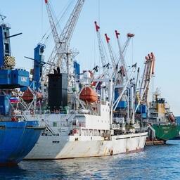 По итогам третьего квартала Владивостокский морской рыбный порт зафиксировал рост перевалки лосося. Фото пресс-службы компании