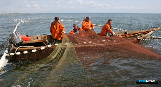 Добытчики лосося в Сахалинской области