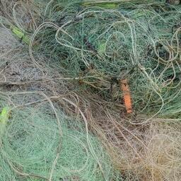 В Заполярье суд признал законным увольнение полицейского, попавшегося на нелегальной добыче рыбы сетью. Архивное фото