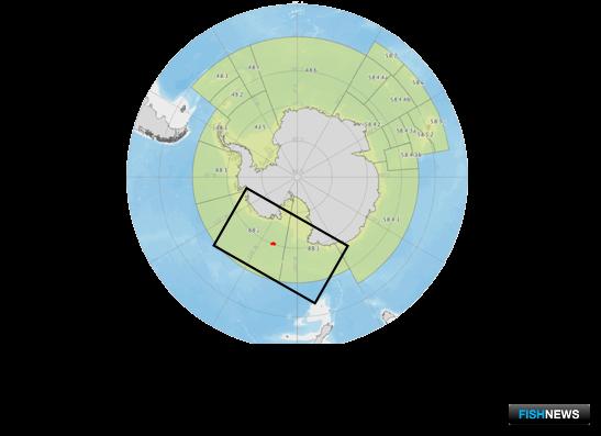 Основными районами лова клыкача являются море Амундсена и море Росса. Изображение предоставлено АтлантНИРО