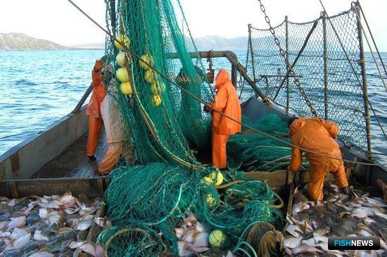 К 20 марта отечественные предприятия освоили более 1,1 млн тонн рыбы и морепродуктов. Фото пресс-службы Росрыболовства