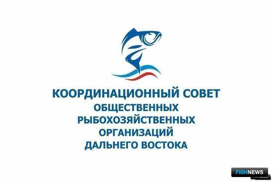 Координационный совет: Рассчитываем, что площадка морских советов будет эффективной и для рыболовства