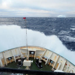 НИС «Атлантида» завершило съемки антарктического криля. Фото пресс-службы АтлантНИРО