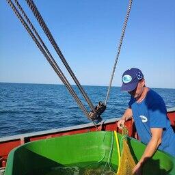 Ученые приступили к исследованию промысловых моллюсков в Азовском море. Фото пресс-службы ВНИРО