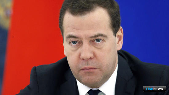 Глава Правительства Дмитрий МЕДВЕДЕВ