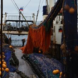 Рыбный промысел на Дальнем Востоке. Фото пресс-службы «Океанрыбфлота»