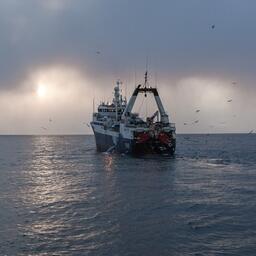 Рыбный промысел на Дальнем Востоке. Фото предоставлено ЮКРК