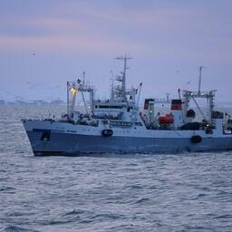 Рыбный промысел на Дальнем Востоке. Фото предоставлено «Океанрыбфлотом»