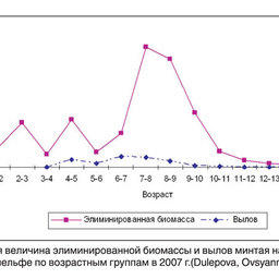 Рис. 3. Общая величина элиминированной биомассы и вылов минтая на западнокамчатском шельфе по возрастным группам в 2007 г.(Dulepova, Ovsyannikov, 2007)